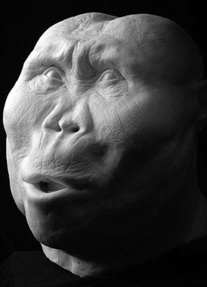 Picture 7 of Portrait of human ancestors