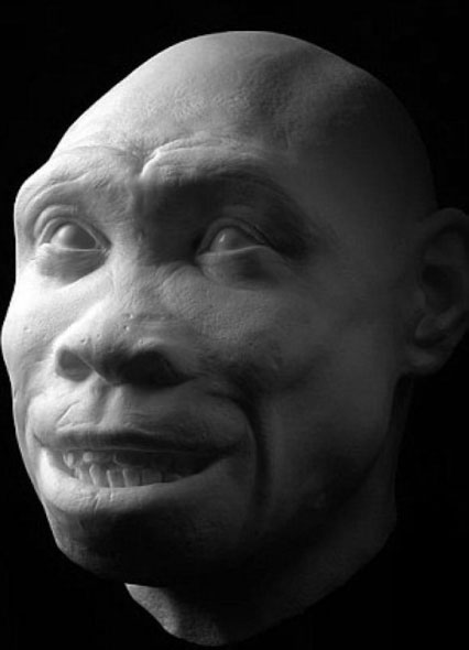 Picture 8 of Portrait of human ancestors