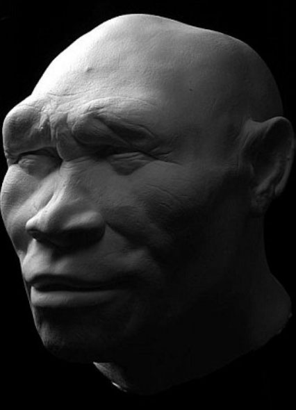 Picture 9 of Portrait of human ancestors