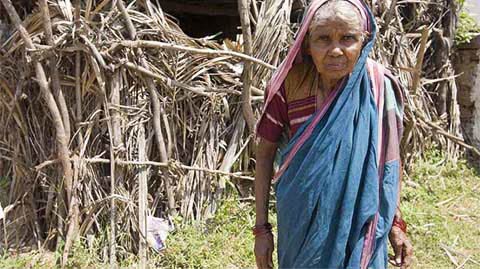 Picture 8 of Post-flood disaster in South India