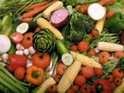 Picture 1 of Potatoes help fight bioterrorism