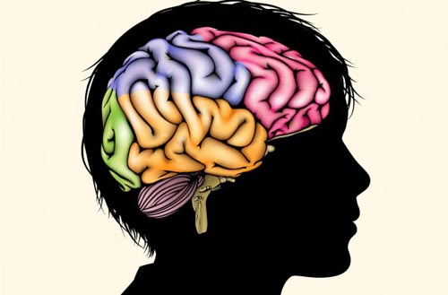 Picture 1 of Poverty can affect brain development