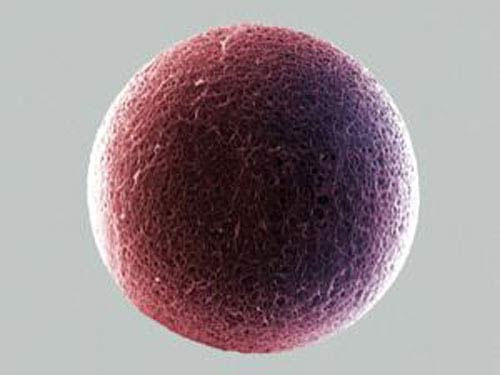Picture 1 of Powdered eggs, mixed with sperm when wanting to conceive