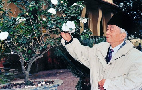 Picture 16 of Precious images of General Vo Nguyen Giap