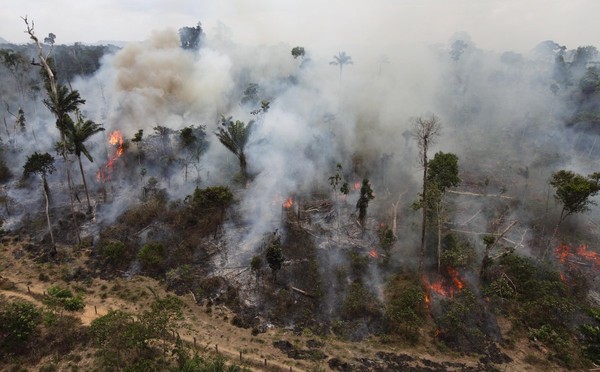 Picture 7 of Predicting the future of the Earth in 2050 makes people shiver