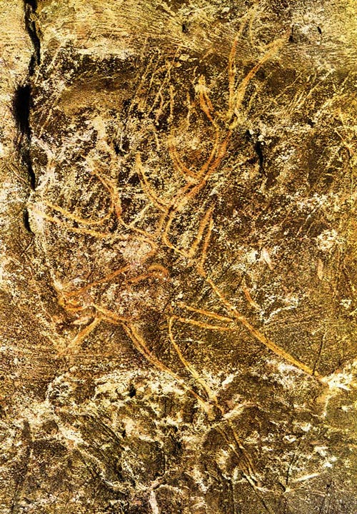 Picture 10 of Prehistoric archaeological sites in the Dordogne valley and caves in the valley of Vézère - France