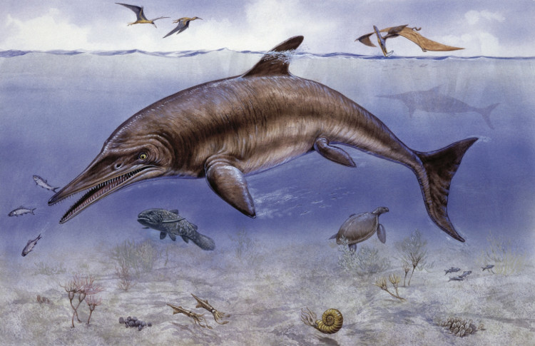 Picture 2 of 'Prehistoric sea monsters' rotted down on the Russian coast