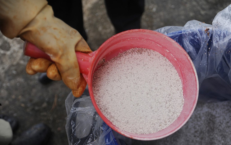 Picture 3 of Preparations of Germany to rescue dirty lakes in Hanoi