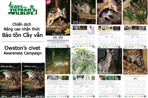 Picture 1 of Preserving rare civet civet in Vietnam