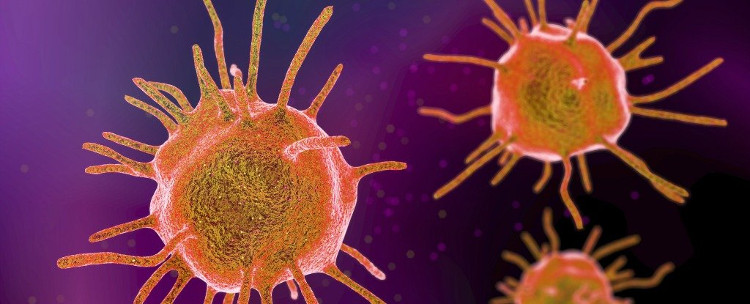 Picture 1 of Prevent gene exchange bacteria: A smart solution for drug resistance