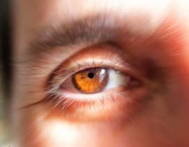 Picture 1 of Prevention of corneal ulcer disease