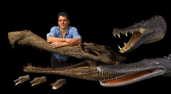 Picture 2 of Primitive crocodiles used to run on land like horses