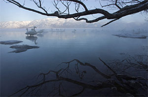 Picture 3 of Prizes for beautiful wild photos