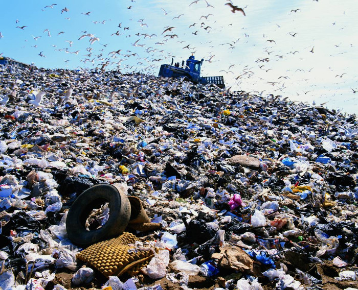 Picture 3 of Produce 'environmental bags' from shrimp shells