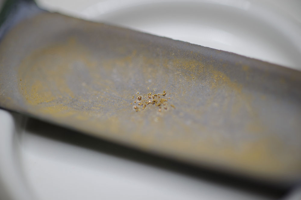 Picture 1 of Producing 24-karat gold with bacteria