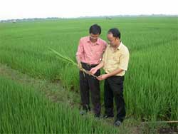 Picture 4 of Production and successful application of zeolite materials in Vietnam