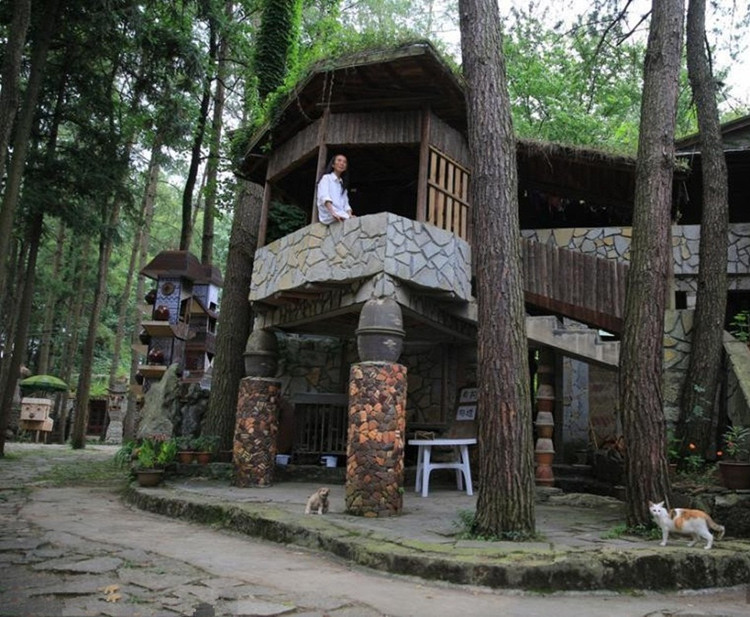 Picture 7 of Professor stays for 20 years to build stone walls