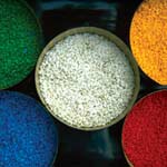 Picture 3 of Promoting precious genetic resources