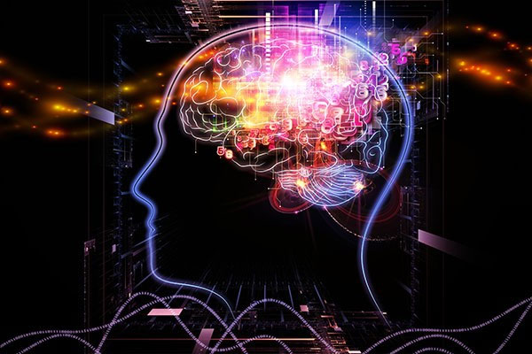 Picture 3 of 'Prophecy' plans to change the world in 2050