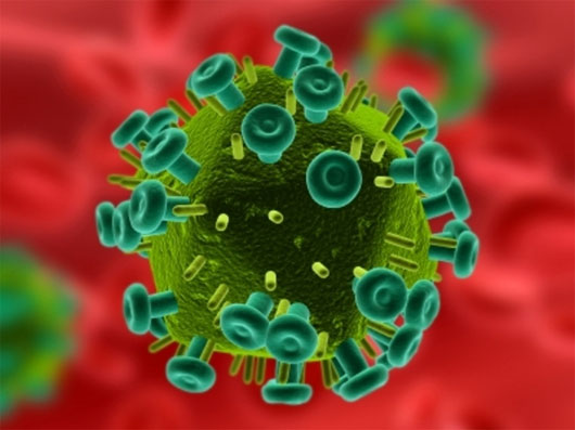 Picture 1 of Prospects gel to help women fight HIV