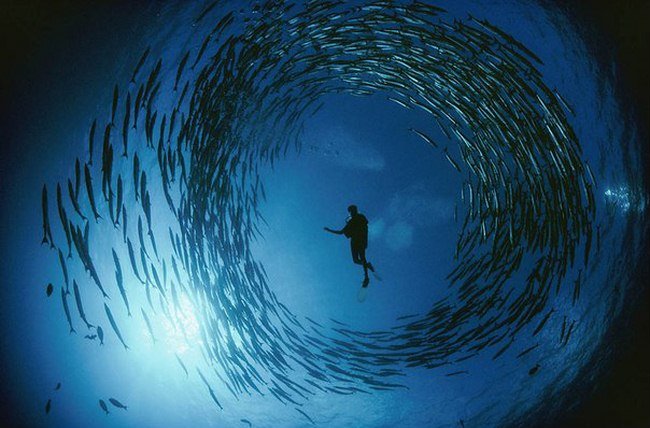 Picture 1 of Protect the ocean to protect the atmosphere