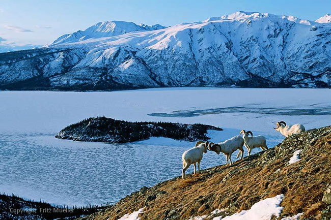 Picture 10 of Protected Areas and National Parks in Canada and the United States