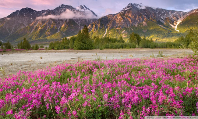 Picture 8 of Protected Areas and National Parks in Canada and the United States