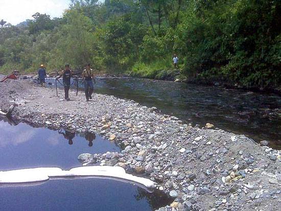 Picture 1 of Protection of tropical forests: three main obstacles
