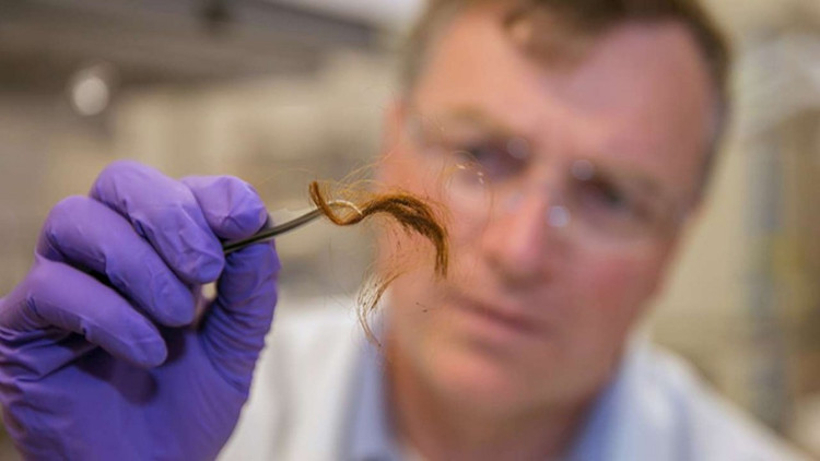 Picture 2 of Protein in hair can help confirm a person's identity