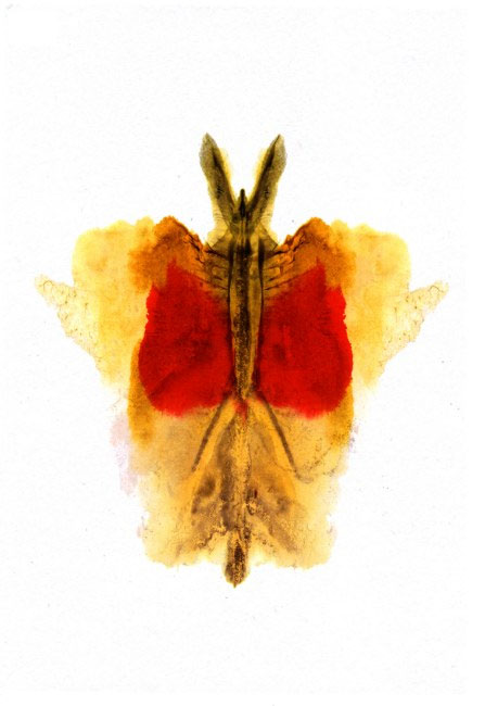 Picture 2 of Psychological test Hermann Rorschach