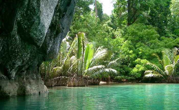 Picture 3 of Puero Princesa Underground River National Park