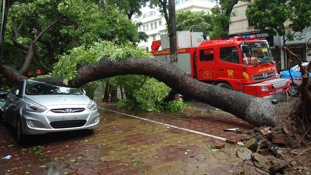 Picture 9 of Pushing on the door, my father saved my daughter from the car and was hit by an old tree