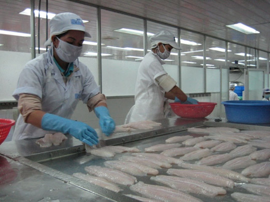 Picture 1 of Putting tra fish in the red book is a lack of scientific basis
