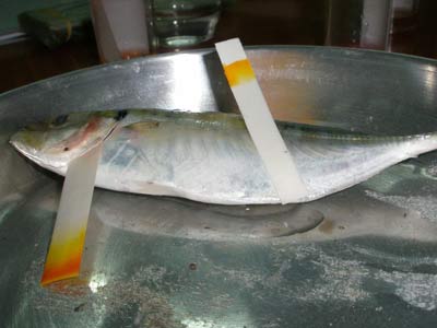 Picture 2 of Quick detection of urea in food