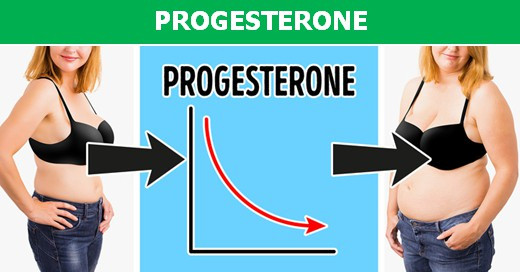 Picture 5 of Quickly understand the hormones that may be causing you to be obese!