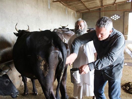 Picture 6 of Quirky inventions from manure and urinals themselves