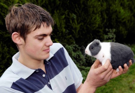 Picture 3 of Rabbits don't have ears