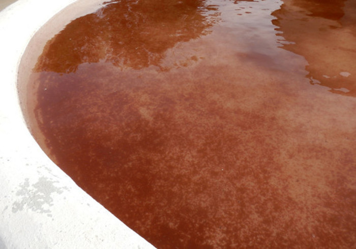 Picture 1 of Rain blood dyed red lake of Spain