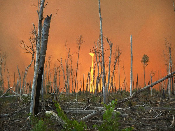 Picture 13 of Rain of blood and weather phenomena of 'bad crying and laughing' in history