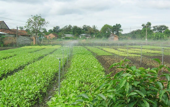 Picture 1 of Rain sprinkler technology uses solar energy