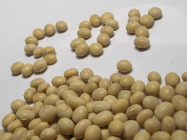 Picture 2 of Raisins and soybeans help prevent high blood pressure