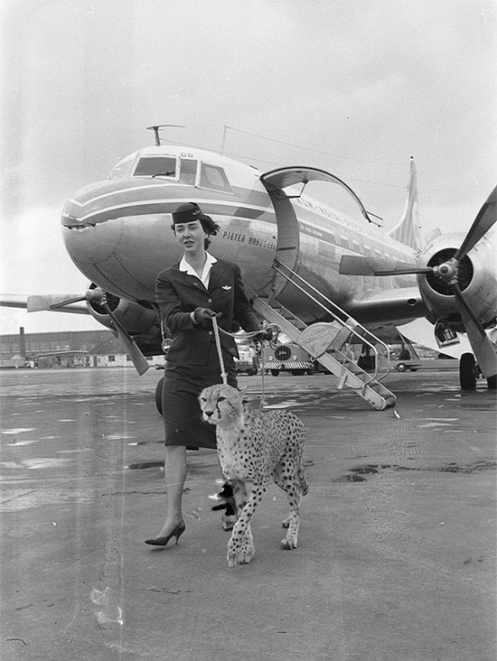 Picture 7 of Rare historical photos show how amazingly the world has changed