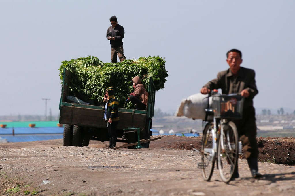 Picture 3 of Rare image of agriculture in Korea