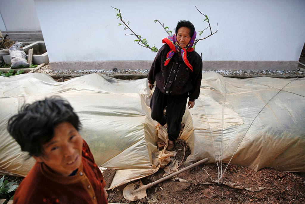 Picture 4 of Rare image of agriculture in Korea