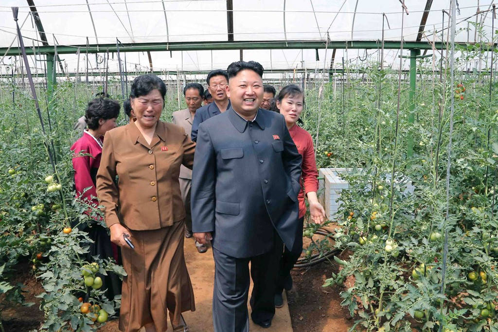 Picture 5 of Rare image of agriculture in Korea