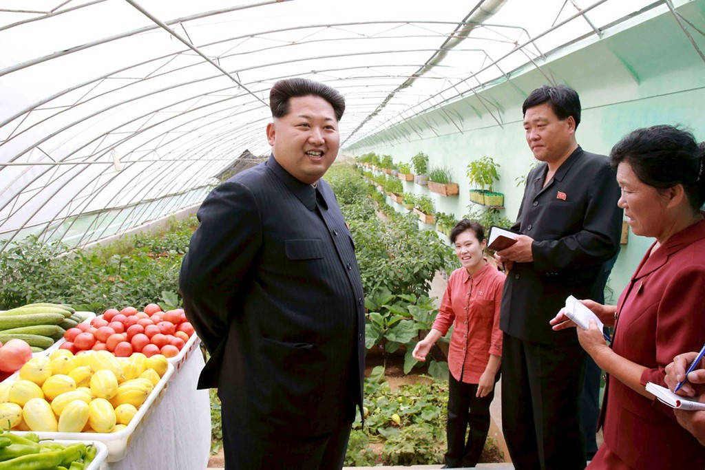 Picture 6 of Rare image of agriculture in Korea