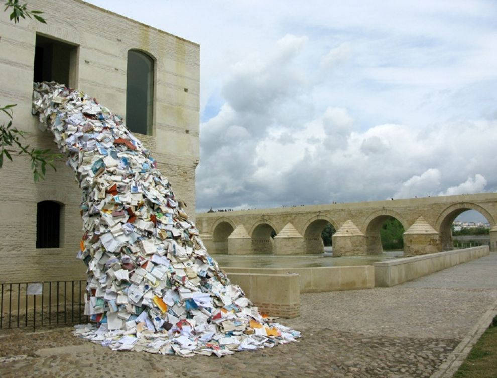 Picture 10 of Rare moments show that life has more strange things than novels