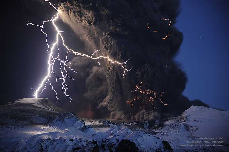 Picture 11 of Rare moments show that life has more strange things than novels