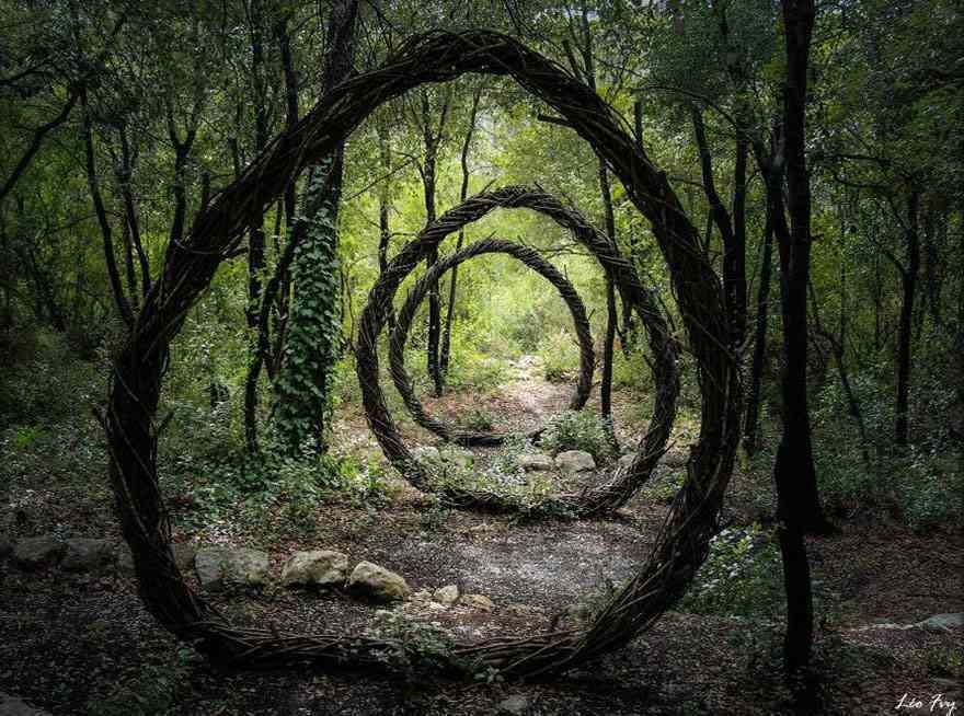 Picture 12 of Rare moments show that life has more strange things than novels