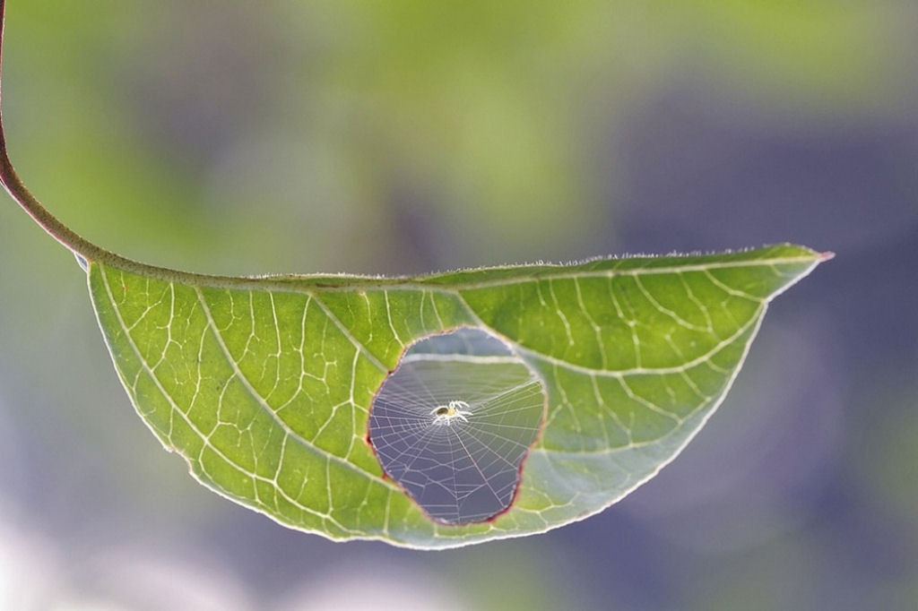 Picture 14 of Rare moments show that life has more strange things than novels